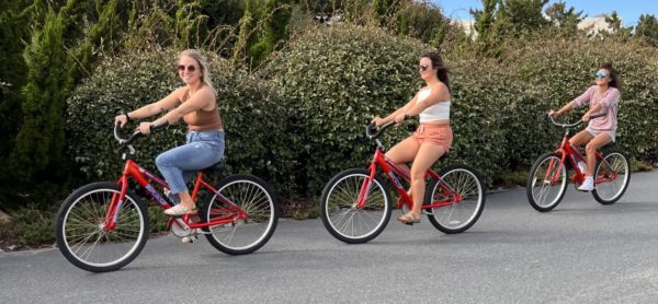 Adult Beach Cruiser - Image 2