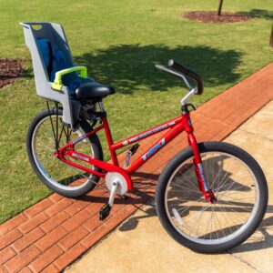 Adult Bike with Toddler Seat