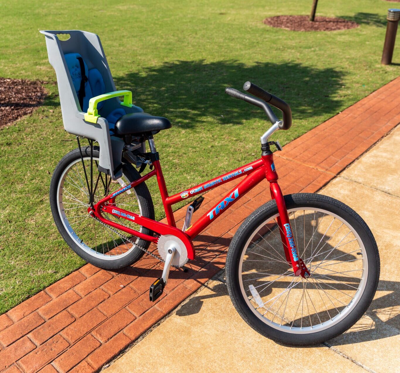 Adult Bike with Toddler Seat