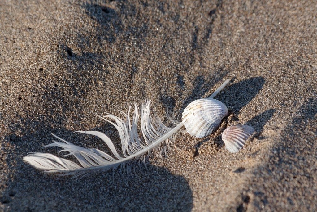 Spring Time On The Beach