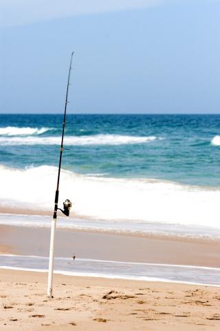 fishing rod